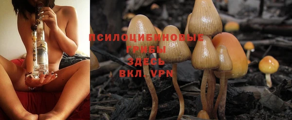 марки lsd Алзамай