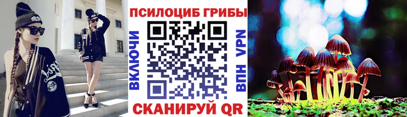 Галлюциногенные грибы GOLDEN TEACHER  Петровск 