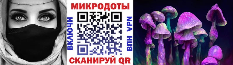 Галлюциногенные грибы Psilocybine cubensis Петровск