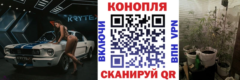 Каннабис SATIVA & INDICA Петровск